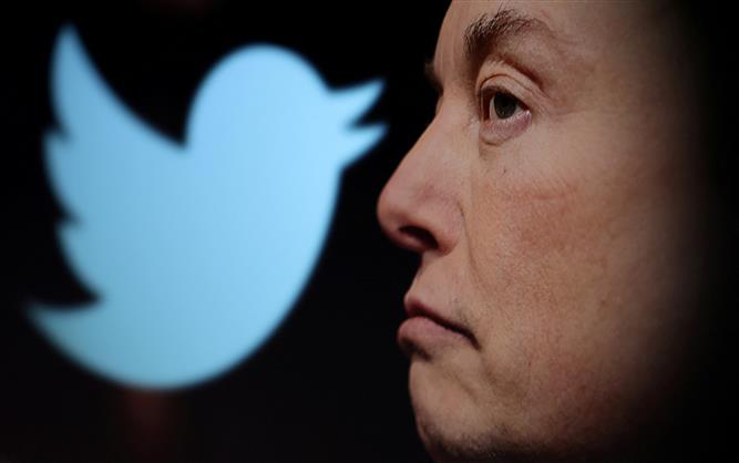 Twitter Icon & Musk